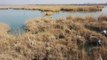 Çin'deki Shahu Gölü Baharın Gelmesiyle Çok Sayıda Göçmen Kuşu Ağırlıyor