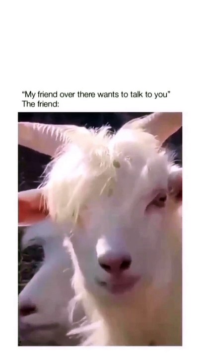 Funny