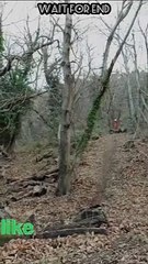 Tranding  Tranding Videos Today  Tranding Shorts #tranding #trandingshorts #shorts #viral 4-4-23 (5)