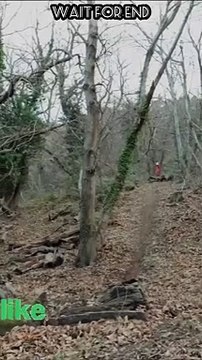 Tranding Tranding Videos Today Tranding Shorts #tranding #trandingshorts #shorts #viral 4-4-23 (5)