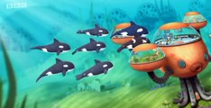The Octonauts The Octonauts S01 E007 – The Orcas