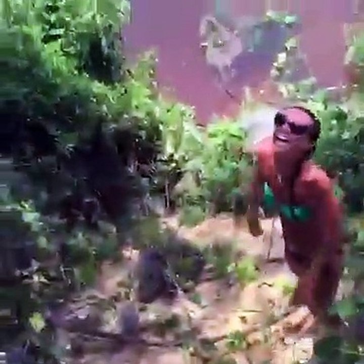 30 Minutes Of Funniest Swimming Pool Fails Compilation - You Won't ...