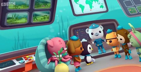 The Octonauts The Octonauts S01 E015 – The Giant Kelp Forest