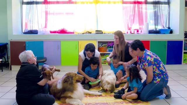 bd-terapia-asistida-con-mascotas-040423