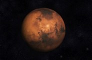 NASA has collected 'alien' deposits from Mars