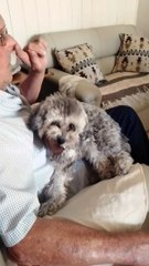 Coco y Lola, inseparables: una inspiración para Mascotas en Foco