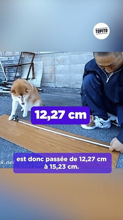 C'est (presque) pas la taille qui compte