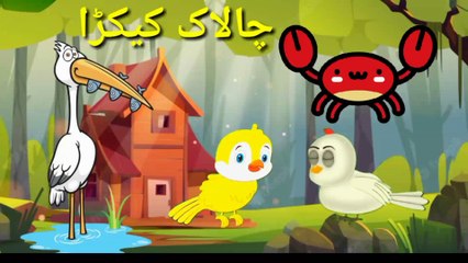 2d animation bird talking short moral story 