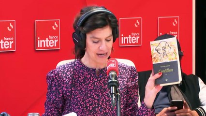 Cordillera de Delphine Grouès - La chronique de Clara Dupont-Monod