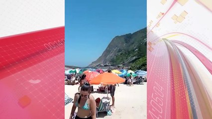 Jiboia é flagrada fazendo 'lanchinho' em praia e viraliza; vídeo