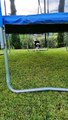 Dog Jumps Off Trampoline