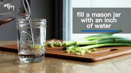 Springtime Means Gardening and It Doesn’t Necessarily Have To Be Done Outside