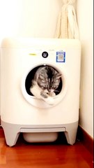 What did Drama Konin Cat do when he went inside the machine?