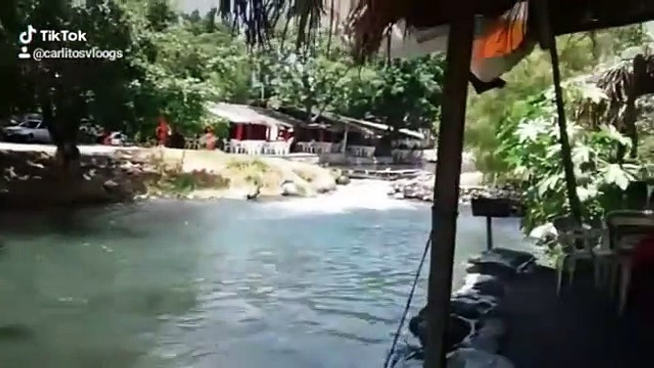 Los amiales lugar turístico de coquimatlan