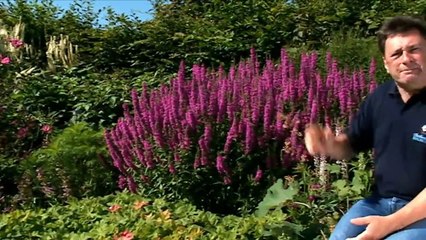 How to Be a Gardener episode 15