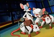 Pinky and the Brain S01 E01