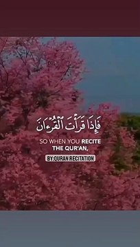 Quran Verses Beautiful Quran Recitation #quranrecitation #quranicvers #islam #quran #shorts