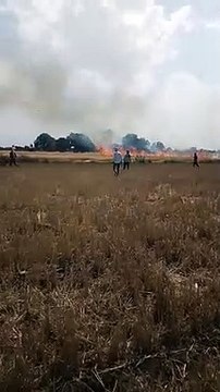आग से जली 30 बीघा की गेहूं फसल, मेहनत से बची इतने बीघा की फसल