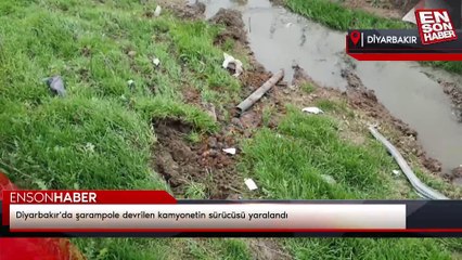 Diyarbakır'da şarampole devrilen kamyonetin sürücüsü yaralandı