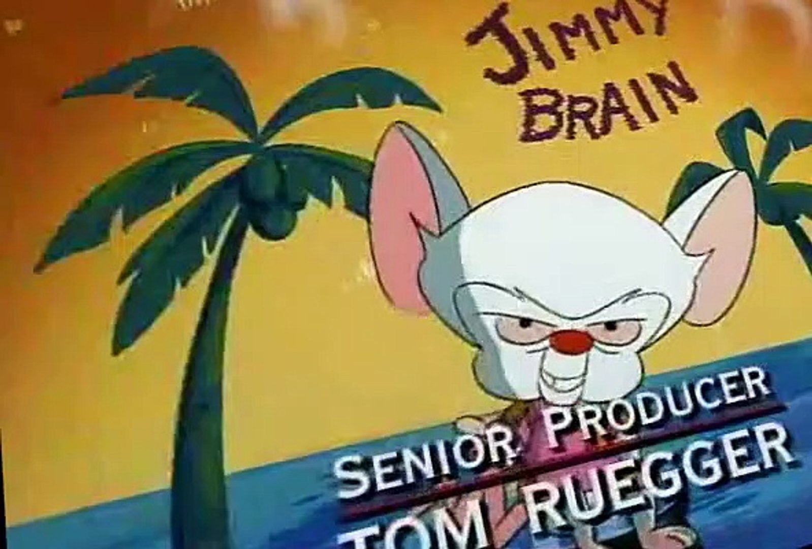 Pinky and the Brain Pinky and the Brain S01 E013 Fly - video Dailymotion