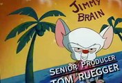 Pinky and the Brain Pinky and the Brain S01 E013 Fly