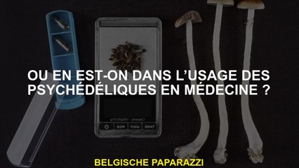 Où en est-on dans l’usage des psychédéliques en médecine ?