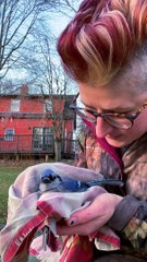 Woman Frees Bird Tangled Up in Netting