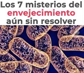 Los 7 Misterios del Envejecimiento Aun Sin Resolver
