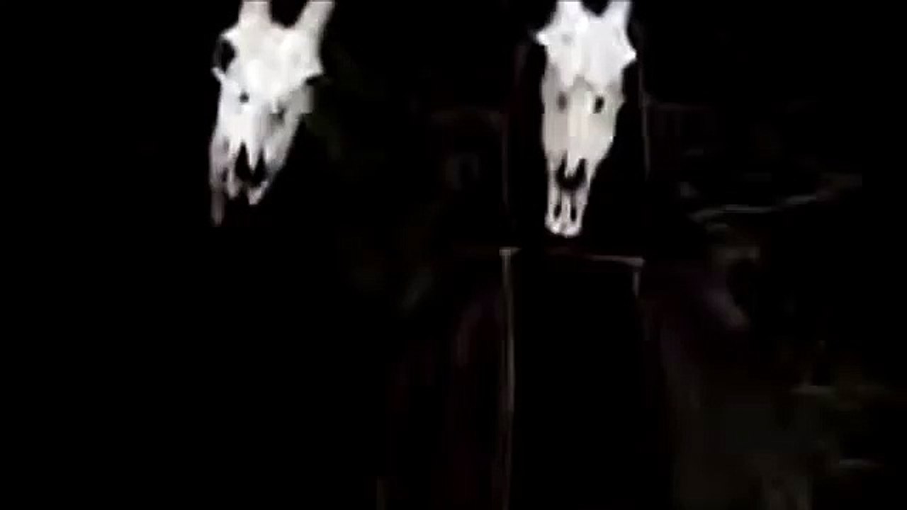 Paranormal Witness | show | 2011 | Official Trailer