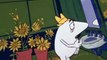 The Pink Panther The Pink Panther E027 – Pink Posies