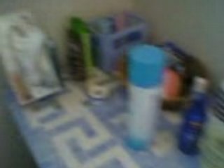 Visite Guidée Carteret Eté 2oo6