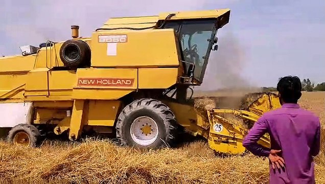Wheat Harvesting in pakistan | Newholand 8060 wheat harvesting پاکستان میں گندم کی کٹائی |