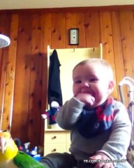 Funny Baby and Bird Fails - Funny Baby Videos