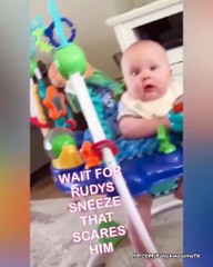 Cutest Babies Playing With Dogs - Baby and Dog Video