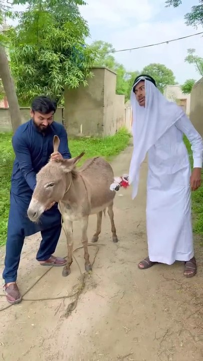 Baba Ne Gadhy Ko Insaan Bana Diya funny video| banana Pranks | comedy videos| funny videos | comedy movies | comedy drama | latest video | Top video on Dailymotion | top videos |