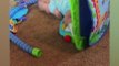 Funniest Babies Make You Fall Over Laughing