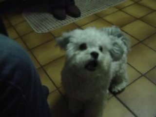 Un Bonjour de Ares - Un Saluto di Ares