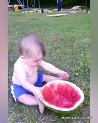 Cutest Chubby Baby - Top Chubby Baby Videos