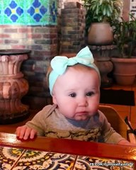 The Best Hilarious Baby Reactions
