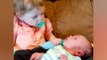 Funniest Situations When Baby Meets Siblings (2)