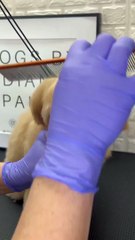 Cute Dog Grooming time. Dog saloon time