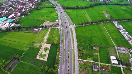 Pelatihan Hidroponik & Pertanian Regeneratif #Part1 IIF #VLOG