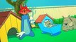 Tom and Jerry Tom and Jerry E082 – Hic-cup Pup