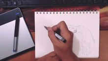 How to draw an eagle step by step easy