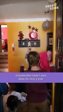 Grandmother Surprised When Grandkids Visit After A Year || Heartsome