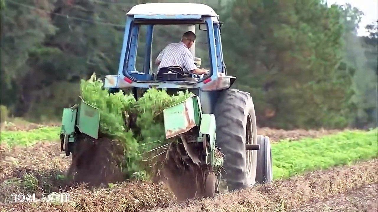 Peanut Harvesting Machine - How to Harvest Peanut in Farm - Modern Agriculture Technology
