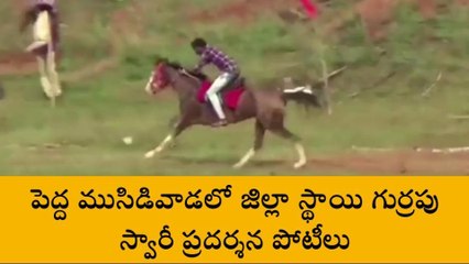పెందుర్తి: 11న గుర్రపు స్వారీ ప్రదర్శన పోటీలు