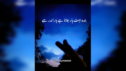 Best status video |video|status|what's app