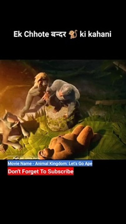 Animal Kingdom_  _shorts _