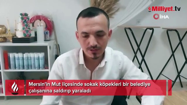 Mersin'de sokak köpekleri belediye çalışanına saldırıp ısırdı